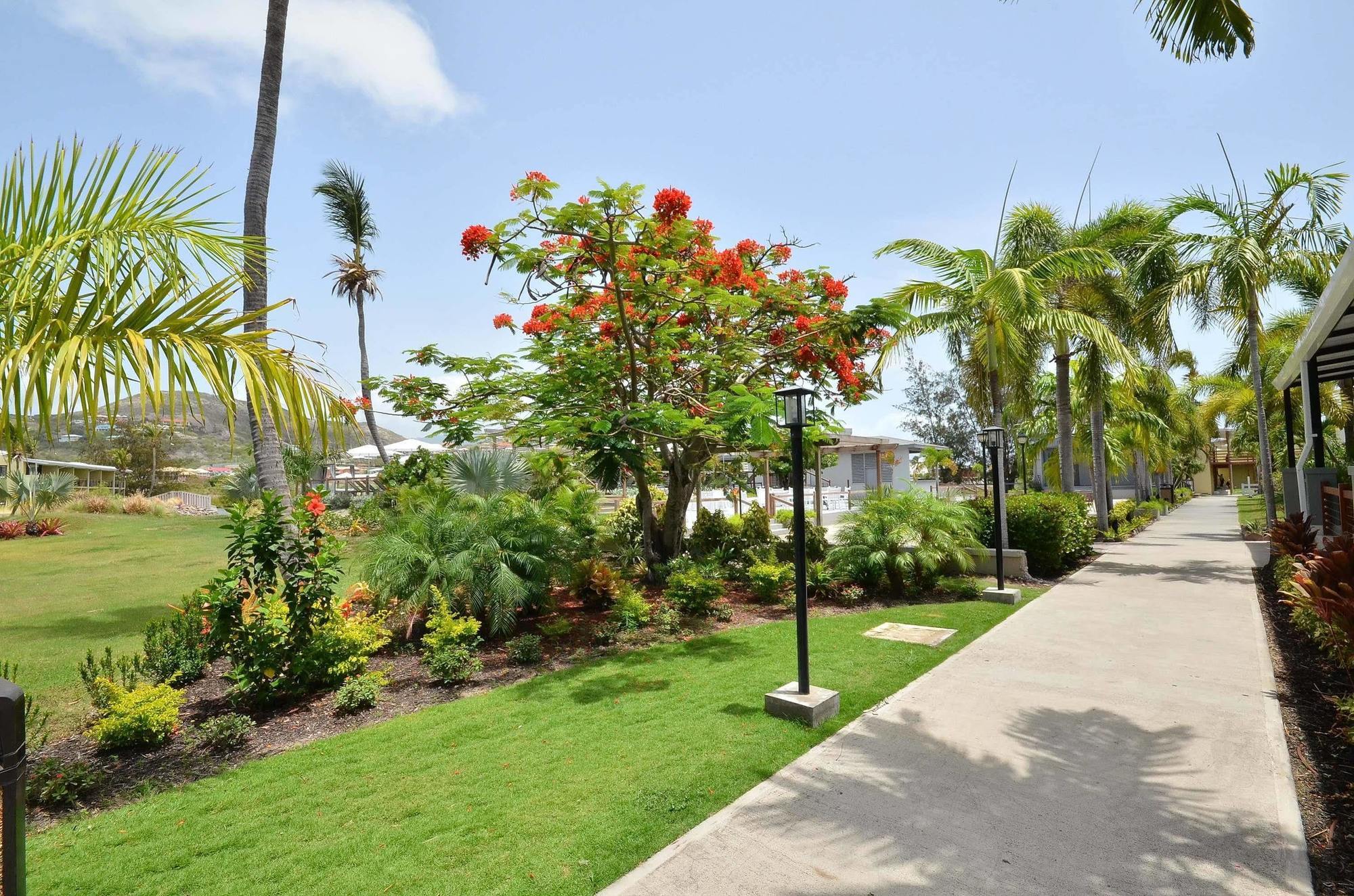 Royal St. Kitts Hotel Frigate Bay Esterno foto
